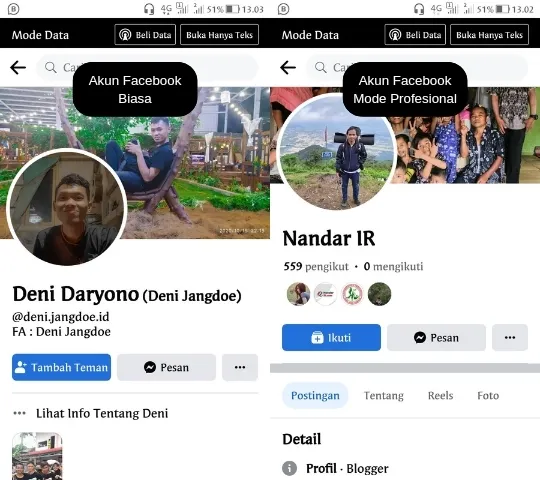professional mode on facebook