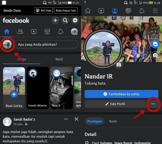 professional mode facebook
