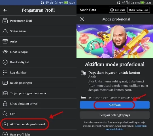 professional mode on facebook