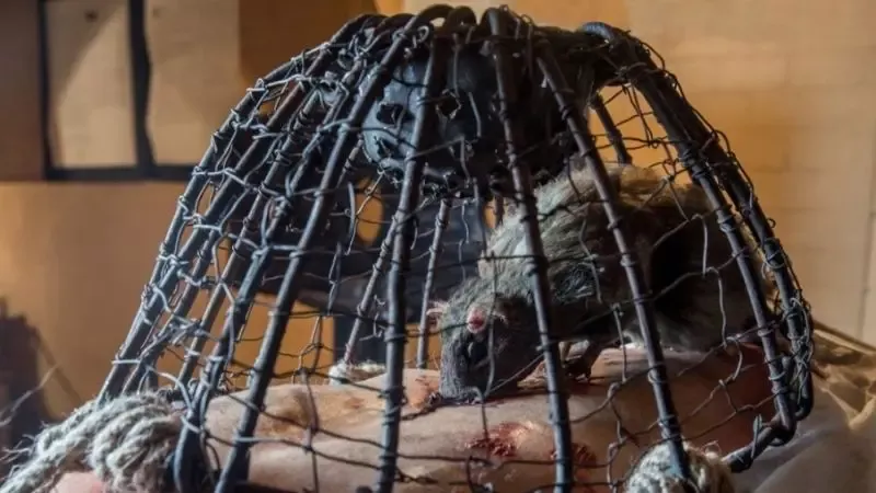 rat torture