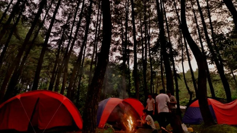 wisata bogor