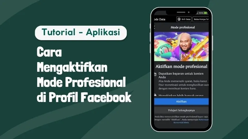 professional mode facebook