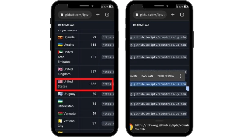 cara mendapatkan siaran tv luar negeri gratis